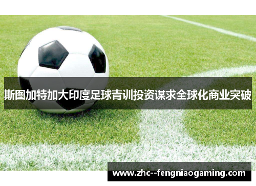 斯图加特加大印度足球青训投资谋求全球化商业突破