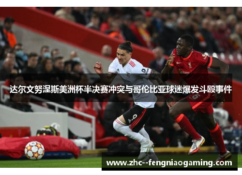 达尔文努涅斯美洲杯半决赛冲突与哥伦比亚球迷爆发斗殴事件 达尔文努涅斯美洲杯半决赛冲突与哥伦比亚球迷爆发斗殴事件