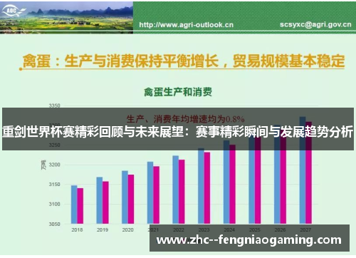 重剑世界杯赛精彩回顾与未来展望：赛事精彩瞬间与发展趋势分析