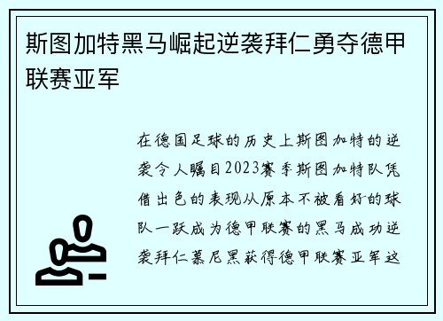 斯图加特黑马崛起逆袭拜仁勇夺德甲联赛亚军